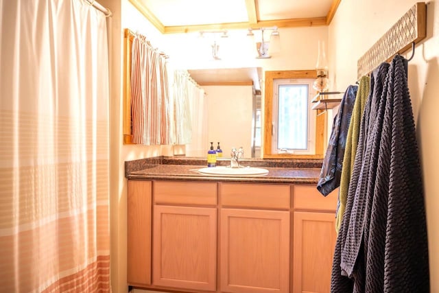 984 E Trout Valley Rd, Friendship, WI 54646 - full bath featuring vanity and ornamental molding