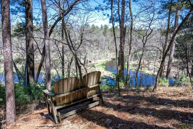 984 E Trout Valley Rd, Friendship, WI 54646 - view of community featuring a water view