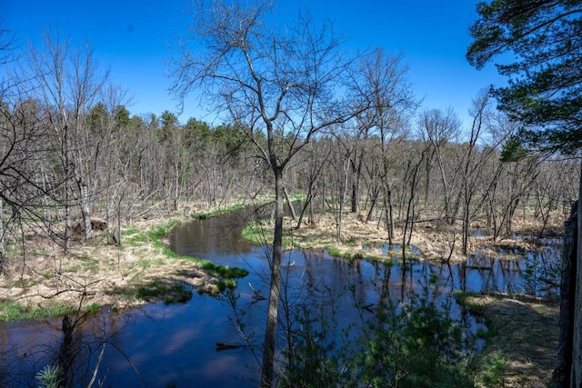 984 E Trout Valley Rd, Friendship, WI 54646 - water view featuring a heavily wooded area