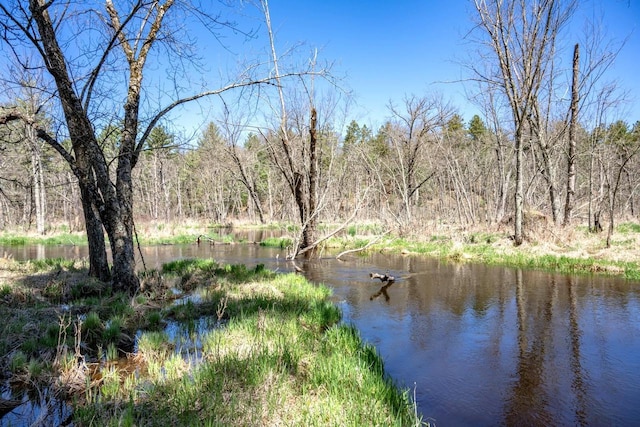 984 E Trout Valley Rd, Friendship, WI 54646 - water view