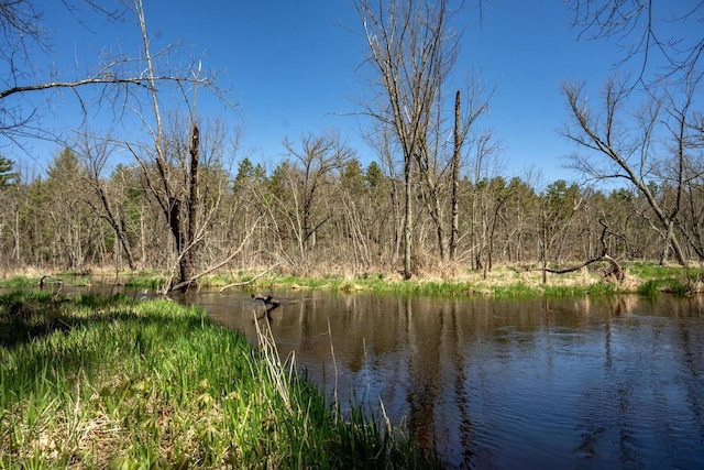 984 E Trout Valley Rd, Friendship, WI 54646 - water view