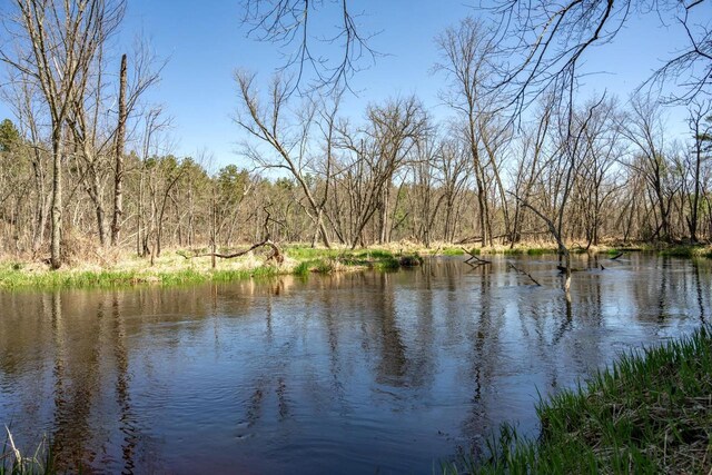 984 E Trout Valley Rd, Friendship, WI 54646 - water view with a heavily wooded area