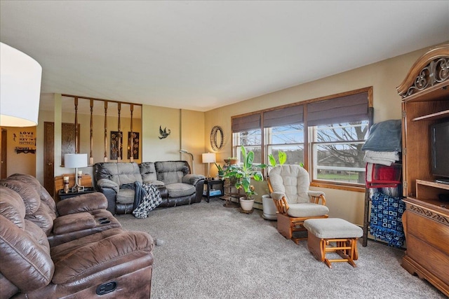 912 S 3rd Ave, Edgar, WI 54426 - view of carpeted living room