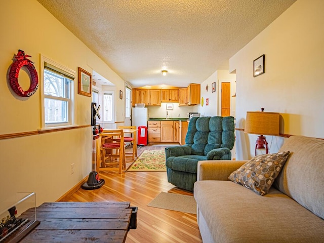 301 E Townline Rd Unit D, Lake Geneva, WI 53147 - living area with a textured ceiling and light wood-type flooring