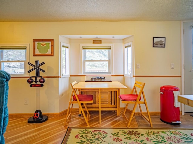 301 E Townline Rd Unit D, Lake Geneva, WI 53147 - dining area featuring wood finished floors, healthy amount of natural light, a textured ceiling, and baseboards