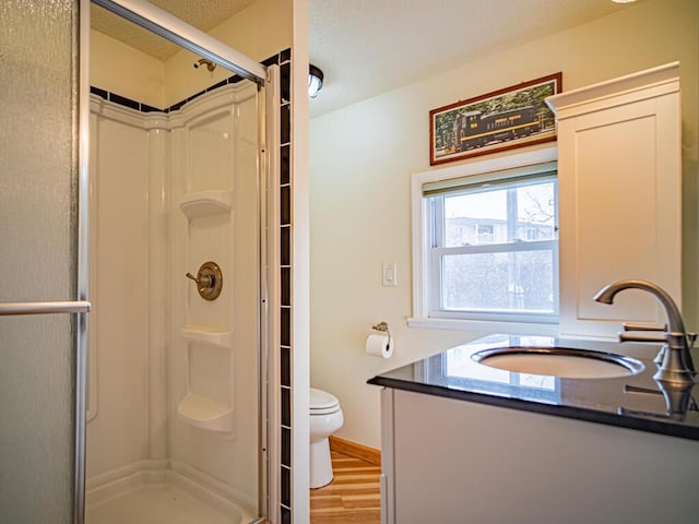 301 E Townline Rd Unit D, Lake Geneva, WI 53147 - bathroom featuring a shower stall, toilet, vanity, wood finished floors, and a textured ceiling