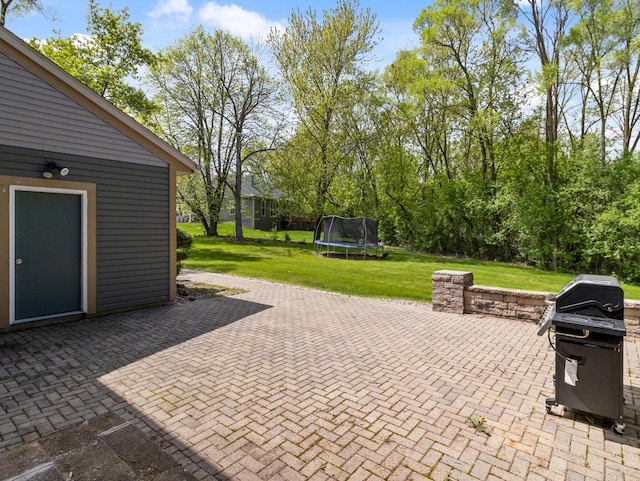 9318 W Mt Zion Dr, Milwaukee, WI 53224 - view of patio / terrace with a trampoline and area for grilling