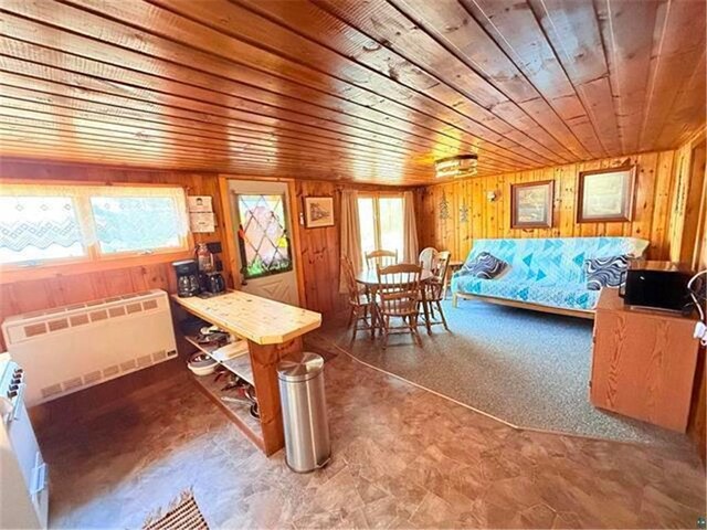 12770 Scenic Dr, Iron River, WI 54847