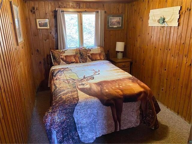 12770 Scenic Dr, Iron River, WI 54847