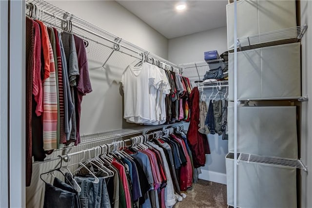 1215 Brooke Ct, Chippewa Falls, WI 54729 - walk in closet with carpet floors