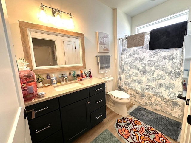 265 Victory Ln, Elkhart Lake, WI 53020 - bathroom featuring wood finished floors, toilet, vanity, and a shower with curtain