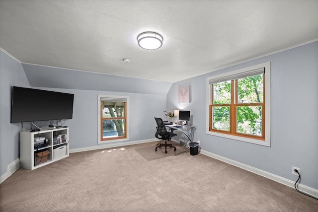 530 W Acacia Rd, Glendale, WI 53217 - office with lofted ceiling, carpet flooring, and baseboards