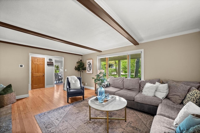 530 W Acacia Rd, Glendale, WI 53217 - living area featuring light wood finished floors, baseboards, beamed ceiling, and crown molding