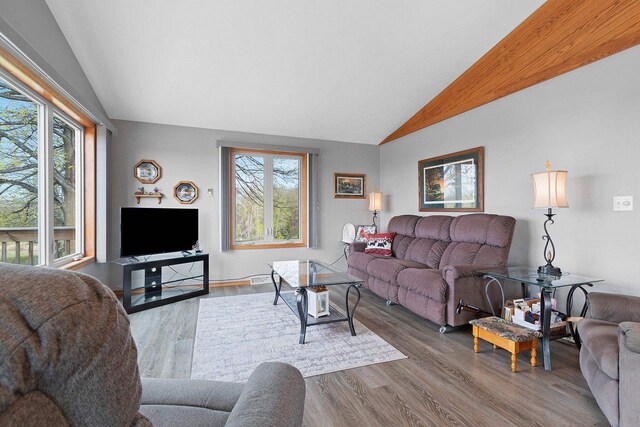 N3351 County Road B, Kewaunee, WI 54216 - living room featuring lofted ceiling and wood finished floors