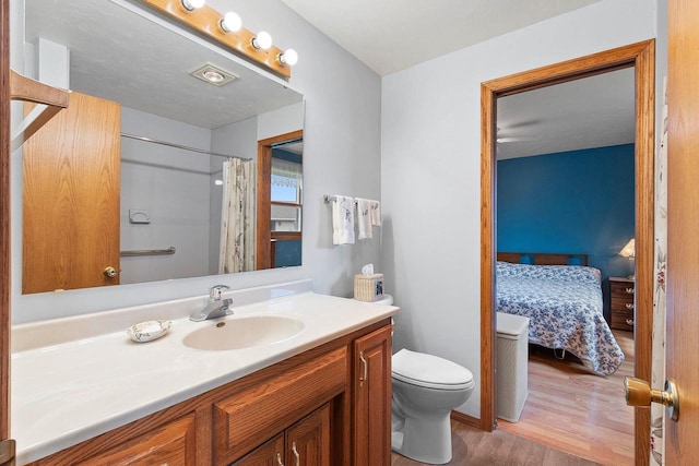 N3351 County Road B, Kewaunee, WI 54216 - ensuite bathroom with toilet, wood finished floors, vanity, and a shower with curtain