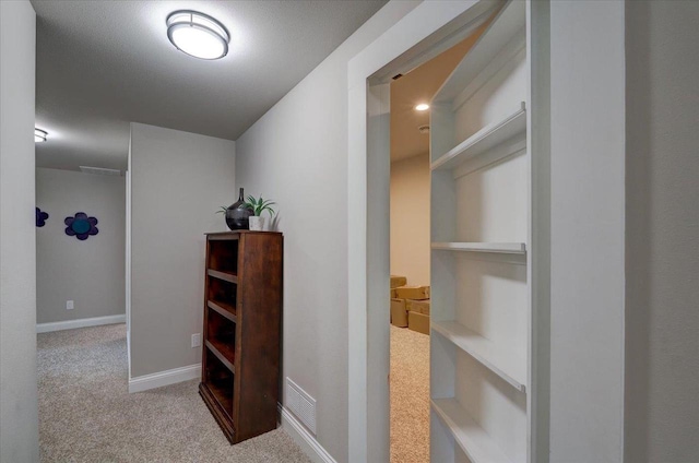 1002 Millies Way, Waunakee, WI 53597 - hall with carpet floors and baseboards
