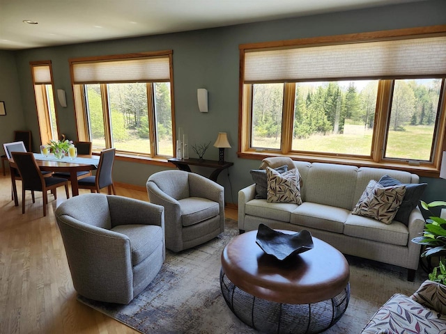 W7429 Akron Dr, Wild Rose, WI 54984 - living area featuring wood finished floors and recessed lighting