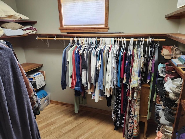 W7429 Akron Dr, Wild Rose, WI 54984 - walk in closet with wood finished floors