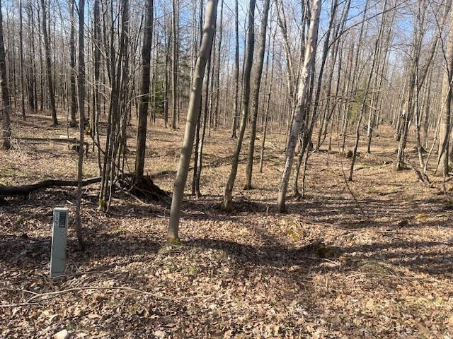 Bartz Bay Rd, Pickerel, WI 54465