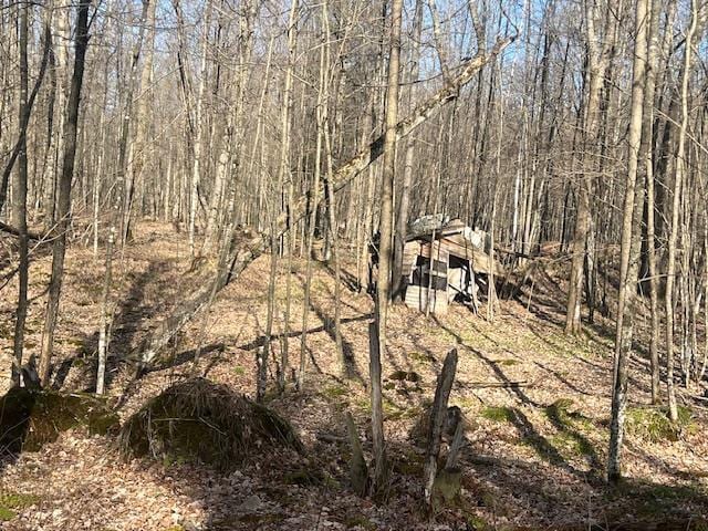 Bartz Bay Rd, Pickerel, WI 54465