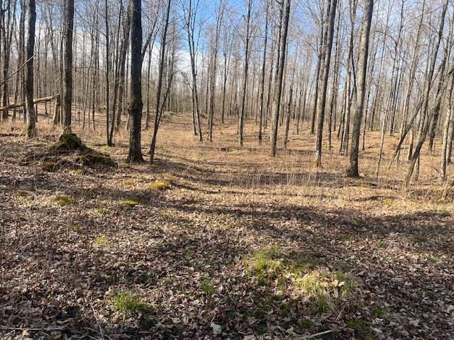 Bartz Bay Rd, Pickerel, WI 54465