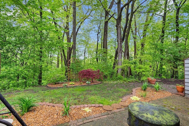 2734 Old Mill Dr Unit A-2, Racine, WI 53405 - view of yard
