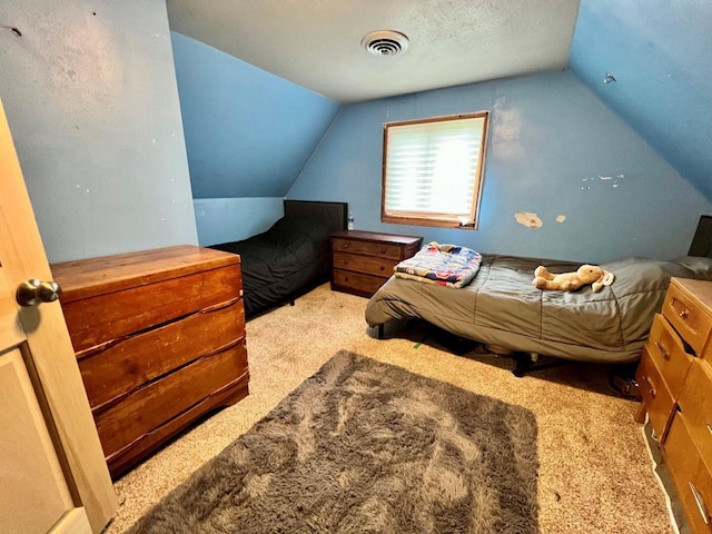 420 W Ramsdell St, Marion, WI 54950 - bedroom with lofted ceiling and carpet