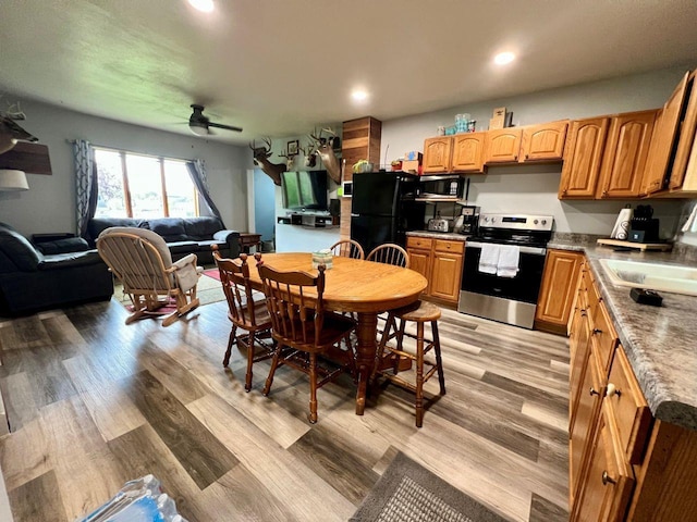 420 W Ramsdell St, Marion, WI 54950 - kitchen featuring stainless steel appliances, ceiling fan, a sink, open floor plan, and recessed lighting