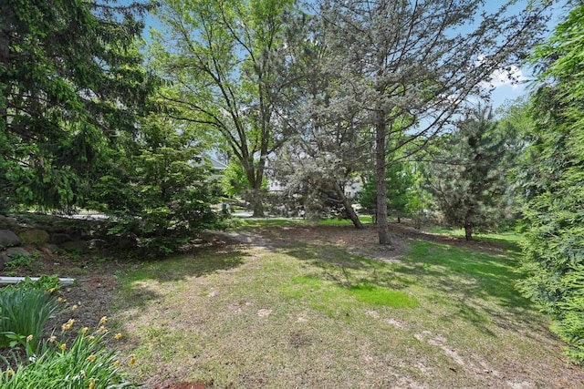 view of grassy yard