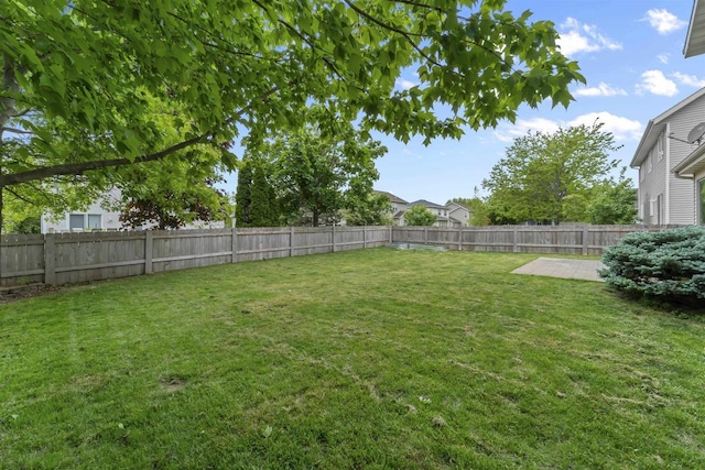 7217 Iris Bloom Dr, Madison, WI 53719 - view of yard