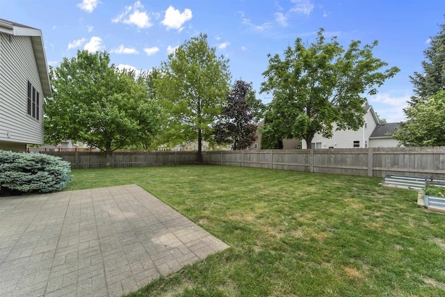 7217 Iris Bloom Dr, Madison, WI 53719 - view of yard with a patio area