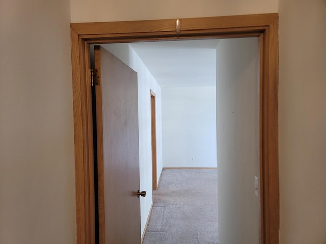1610 N Prospect Ave Unit 506, Milwaukee, WI 53202 - corridor with carpet floors