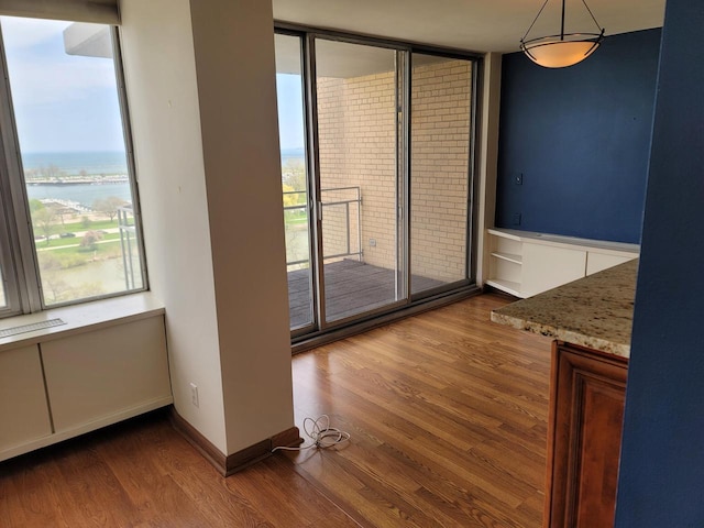 1610 N Prospect Ave Unit 506, Milwaukee, WI 53202 - unfurnished dining area with wood finished floors and a water view
