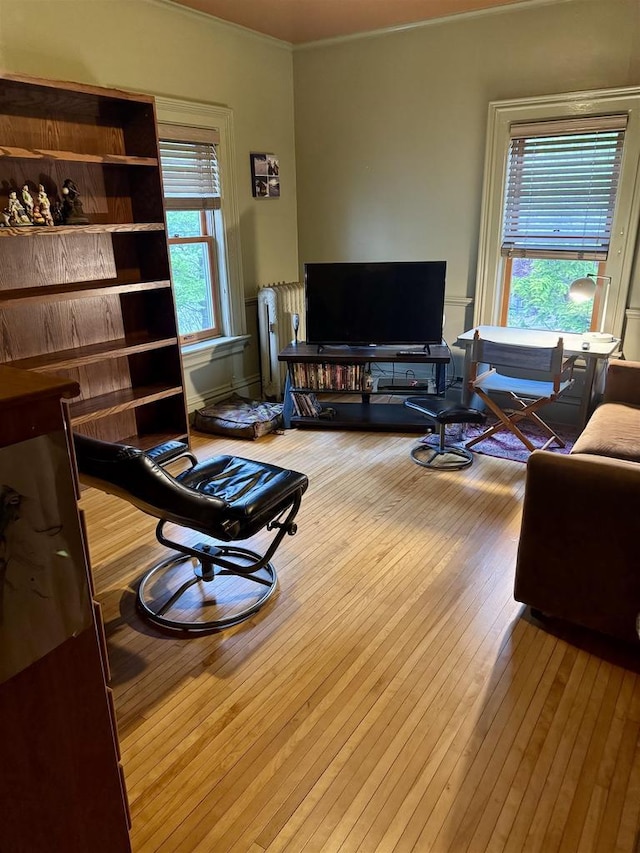 811 Jenifer St, Madison, WI 53703 - living area featuring radiator, hardwood / wood-style floors, plenty of natural light, and crown molding