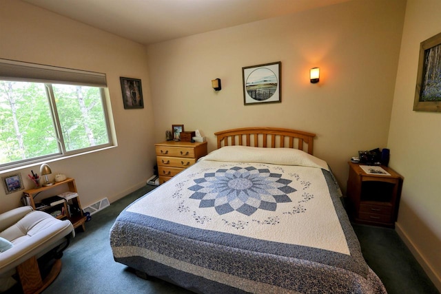 4905 Starlight Ln, Cassville, WI 53806 - bedroom featuring dark carpet and baseboards