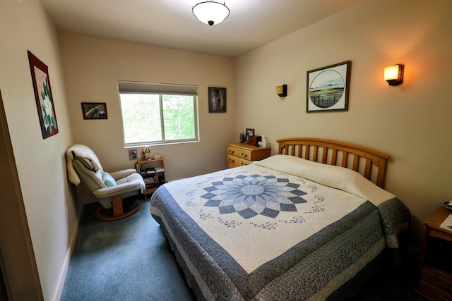 4905 Starlight Ln, Cassville, WI 53806 - carpeted bedroom featuring baseboards