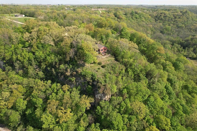 4905 Starlight Ln, Cassville, WI 53806 - aerial view of property's location with a forest