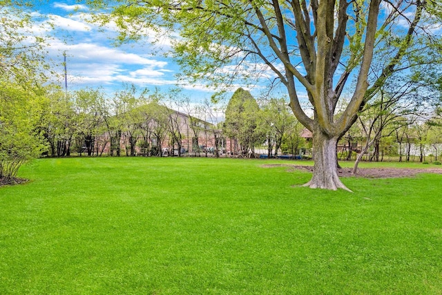 250 W Suburban Ct, Fox Point, WI 53217 - view of grassy yard