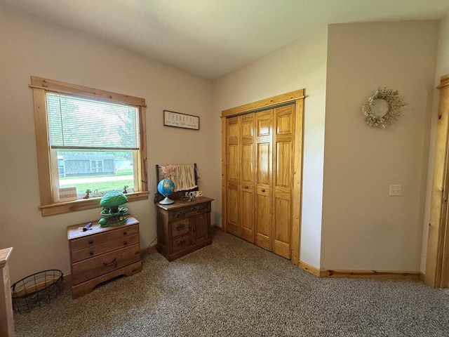 E12742 Weigands Bay N, Merrimac, WI 53561 - bedroom with light colored carpet and a closet