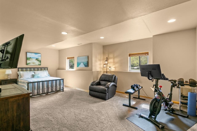 S7698 Grandview Ave, Merrimac, WI 53561 - bedroom featuring carpet floors, recessed lighting, and baseboards