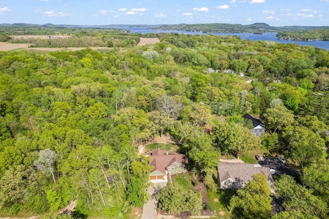 S7698 Grandview Ave, Merrimac, WI 53561 - aerial view of a heavily wooded area and a large body of water