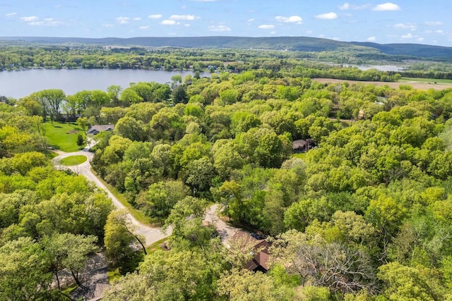 S7698 Grandview Ave, Merrimac, WI 53561 - bird's eye view of a forest and a nearby body of water