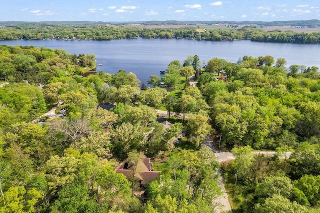 S7698 Grandview Ave, Merrimac, WI 53561 - bird's eye view of a nearby body of water and a heavily wooded area