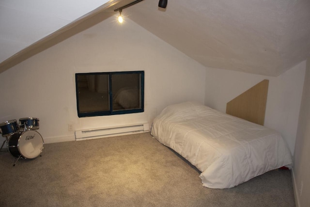 232 Harrison Ave, Waukesha, WI 53186 - bedroom featuring a baseboard heating unit, carpet flooring, vaulted ceiling, and track lighting