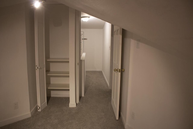 232 Harrison Ave, Waukesha, WI 53186 - hallway with dark colored carpet and baseboards