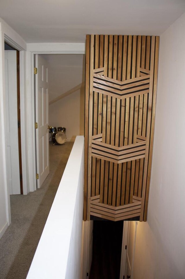 232 Harrison Ave, Waukesha, WI 53186 - stairs with carpet flooring and a relaxing sauna
