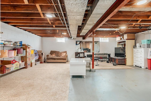 basement with plenty of natural light