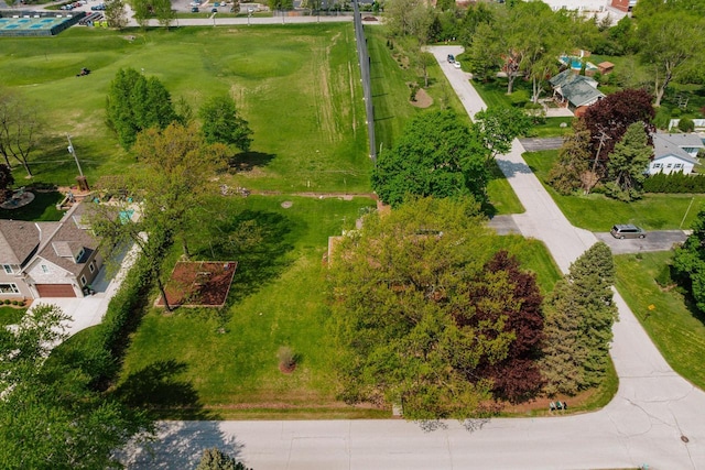 bird's eye view