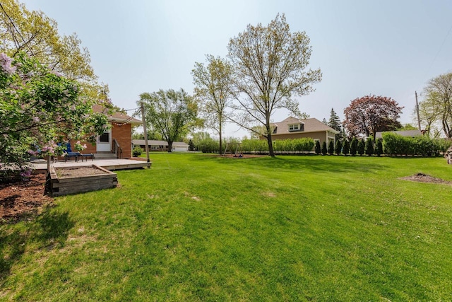 view of grassy yard with a patio