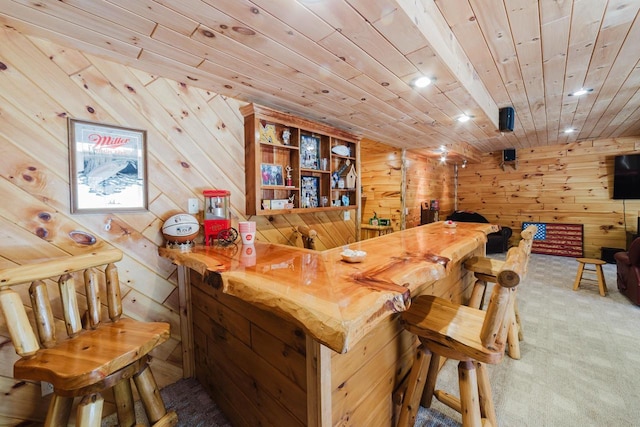 N4404 Pine Dr, Montello, WI 53949 - indoor wet bar with carpet floors, wooden walls, wooden ceiling, and recessed lighting